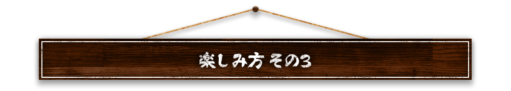 楽しみ方 その3